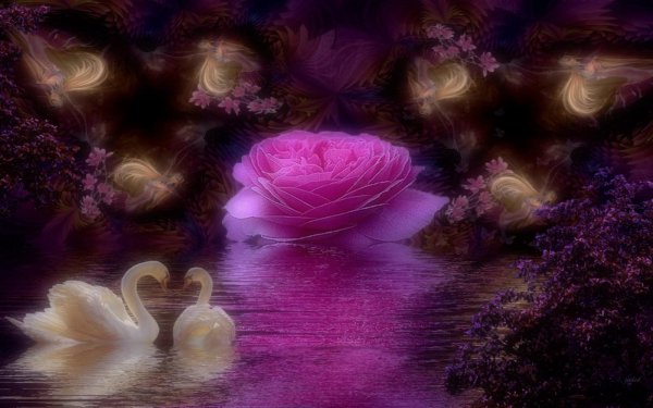 нежного вечера