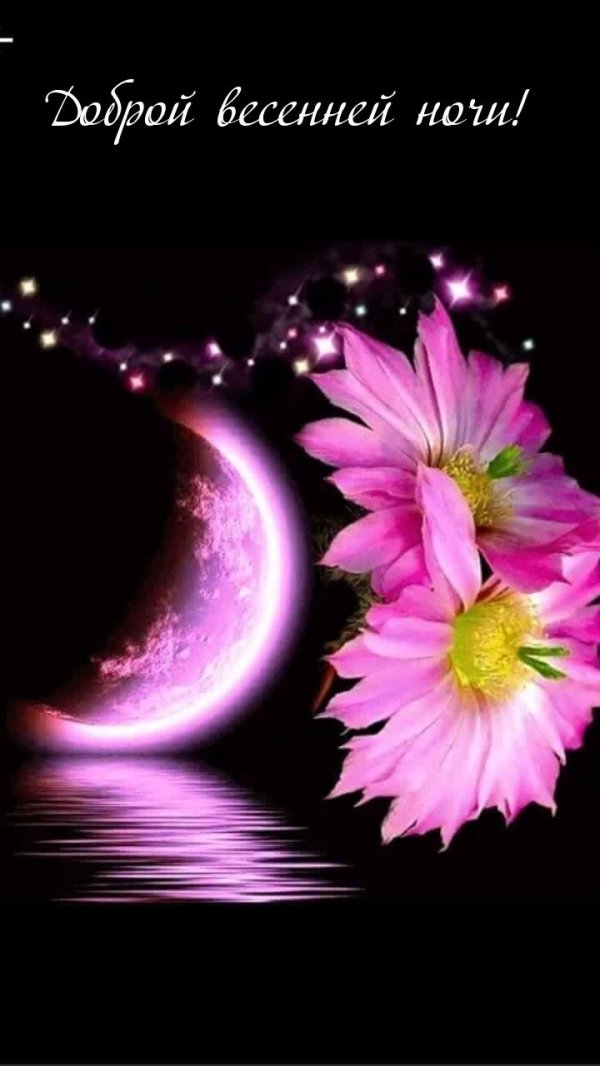 пожелания спокойной ночи