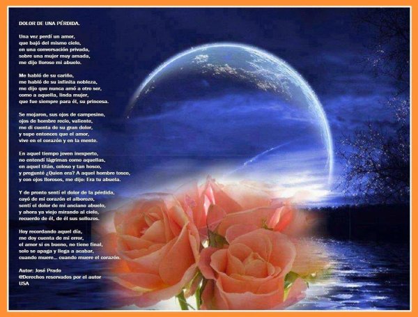 влюбленные в лунную ночь