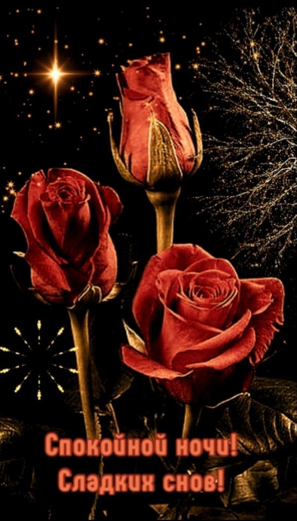 спокойной ночи хорошего вечера