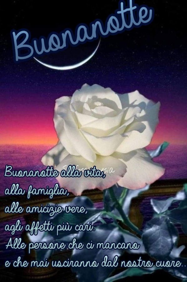 buona notte