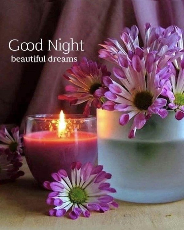 good night wishes