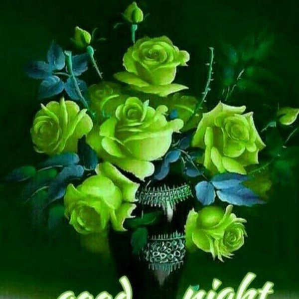 зеленая роза