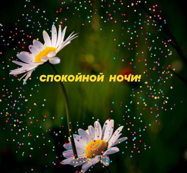 спокойная ночи