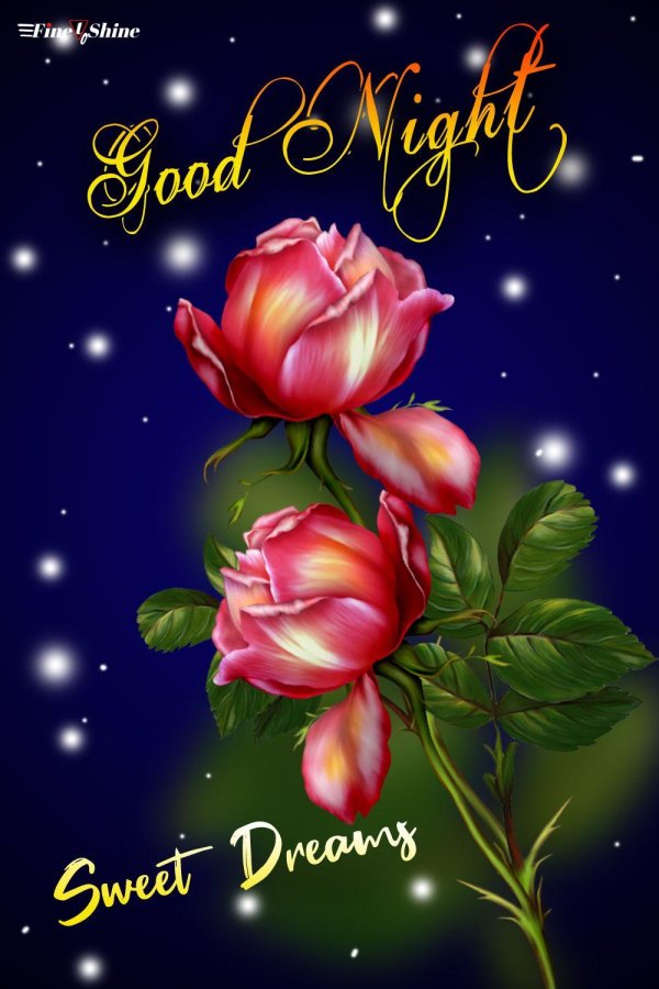 доброй ночи с розами