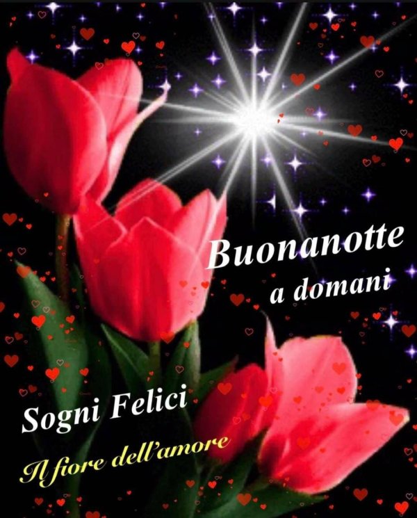 buona notte