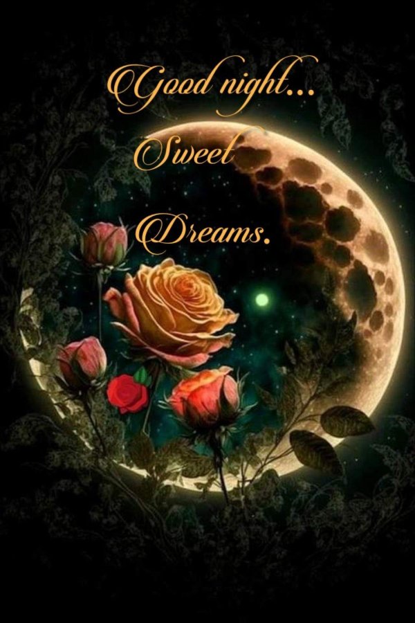 добрая ночь