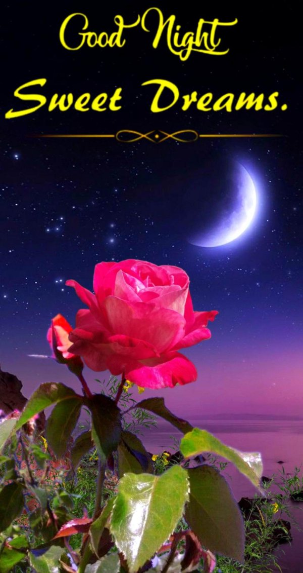 buenas noches dulces sueños