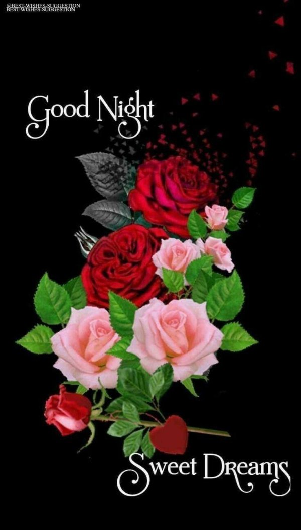 good night roses