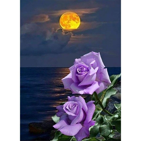 Ночи с цветами