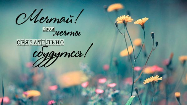 Счастье есть