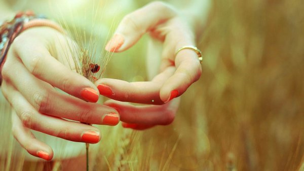 Счастье есть