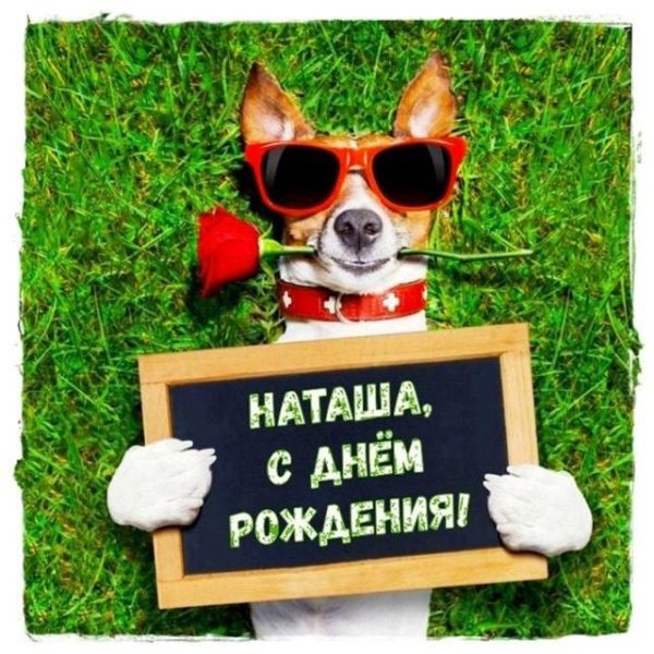 С приколами