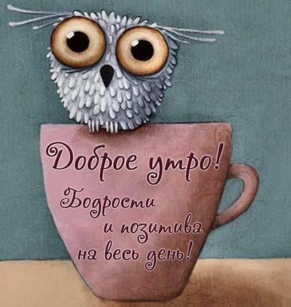 С приколами