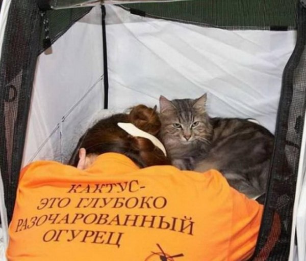 С приколами