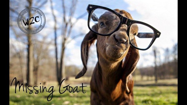 С приколами