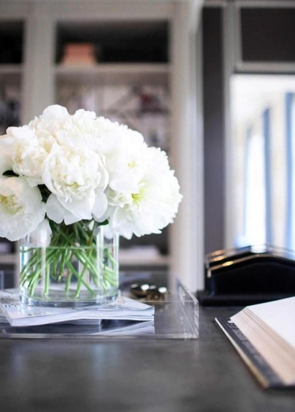 белые пионы