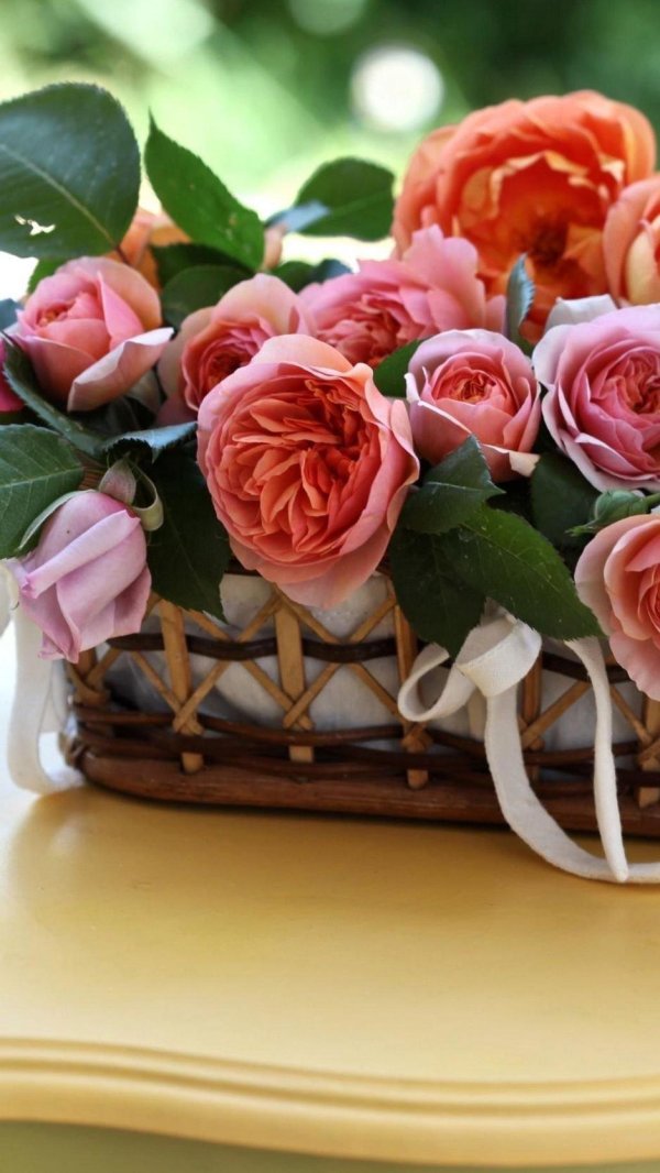 шикарные букеты чайных роз