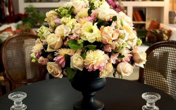 роза бидермейер гарден