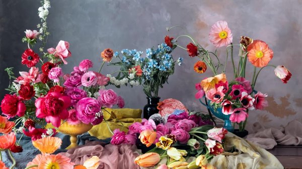 tulipina кианы андервуд