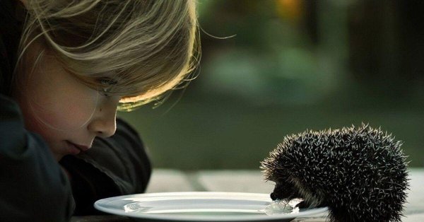 Твори добро