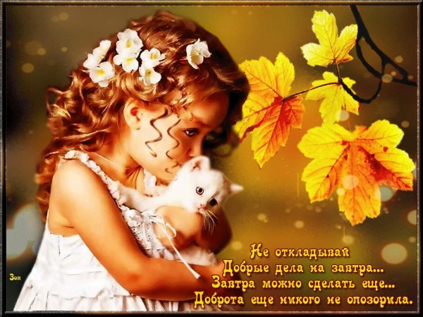 Твори добро