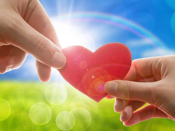 Твори добро