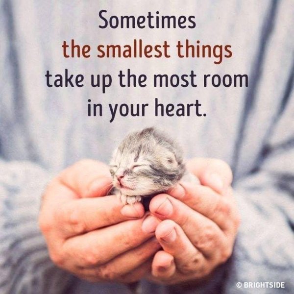 Твори добро