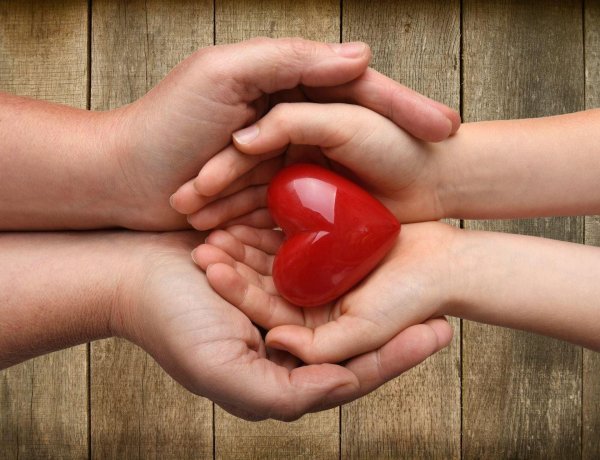 Твори добро