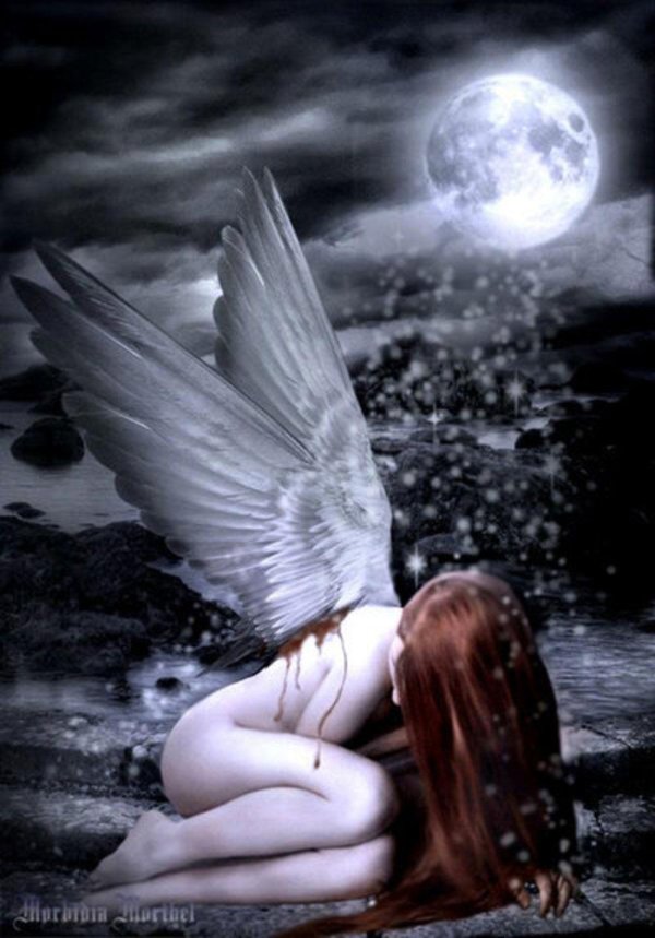 Ангелы любви