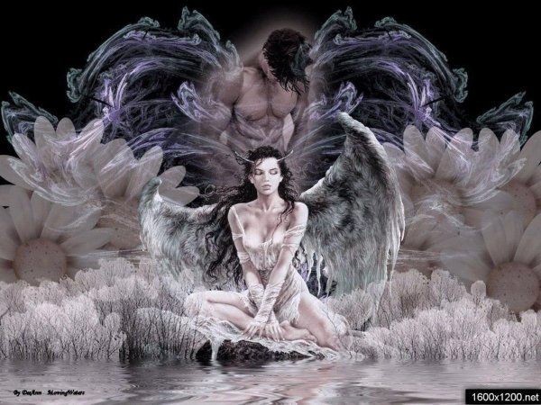 Ангелы любви