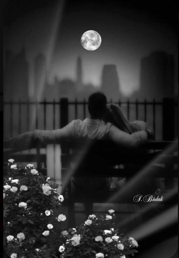 Ночь романтика