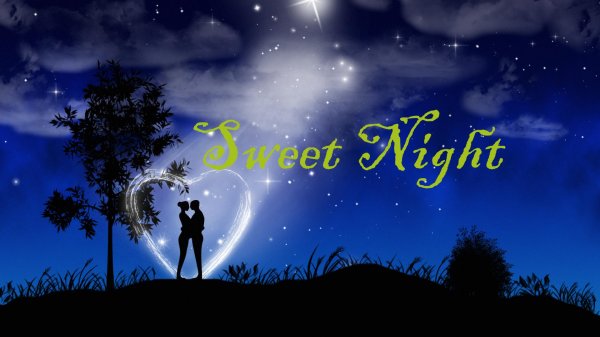 Ночь романтика