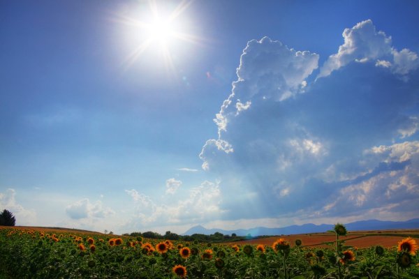 Чистое небо