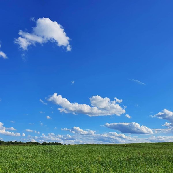 Чистое небо