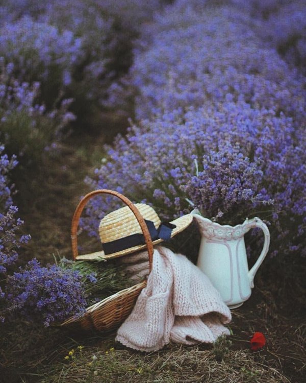 С лавандой