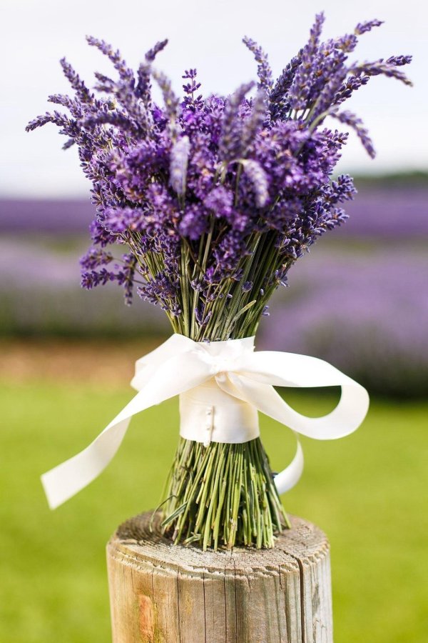 С лавандой