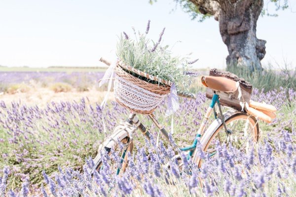 С лавандой