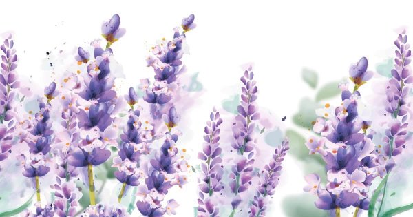 С лавандой