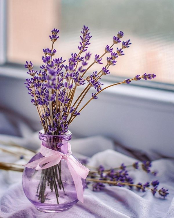 С лавандой