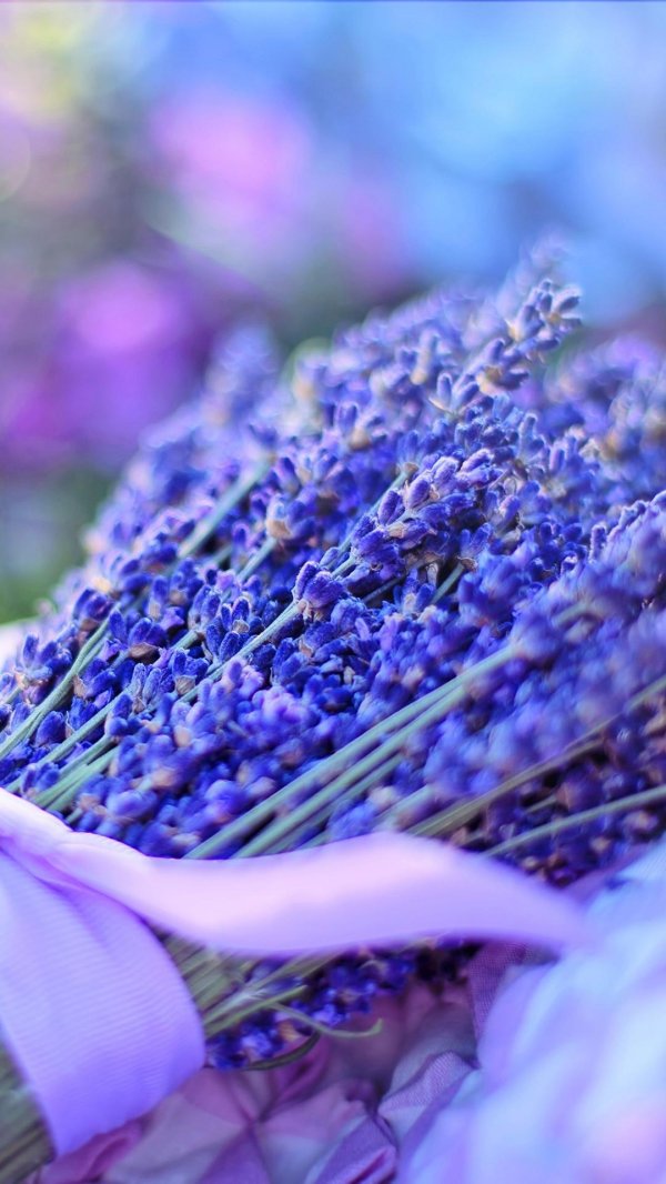 С лавандой