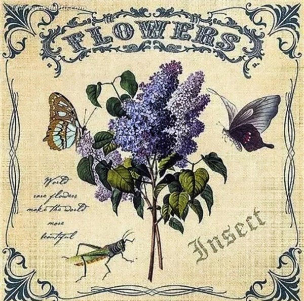 Для декупажа