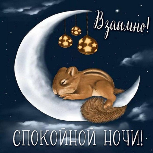 спокойной ночи белочка