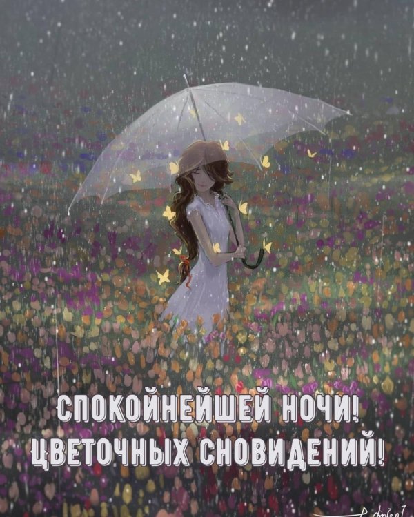 спокойная ночи