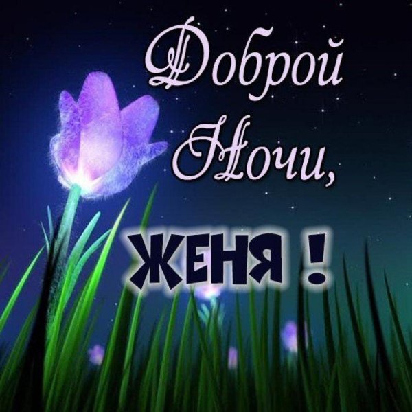 ночной цветок луноцвет