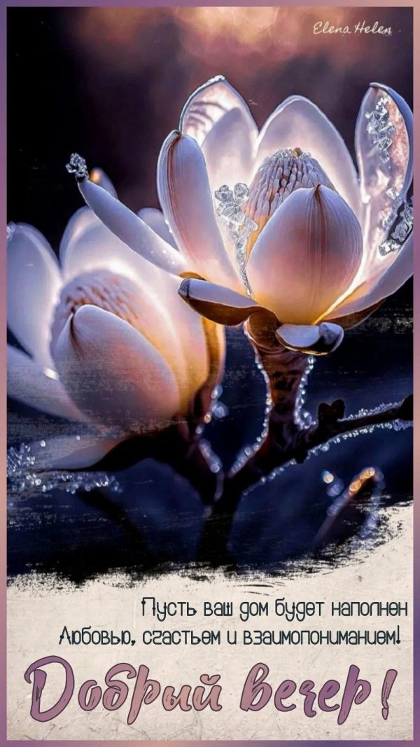 доброго вечера друзья