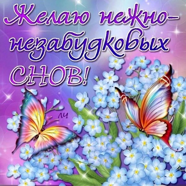 открытка спокойного ночи