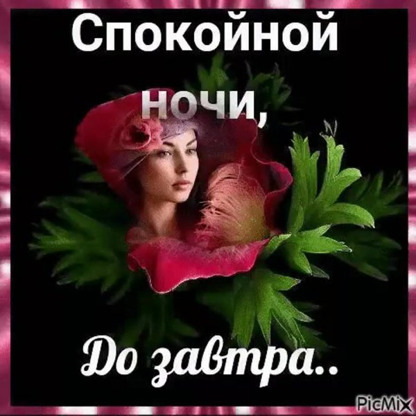спокойной ночи до завтра