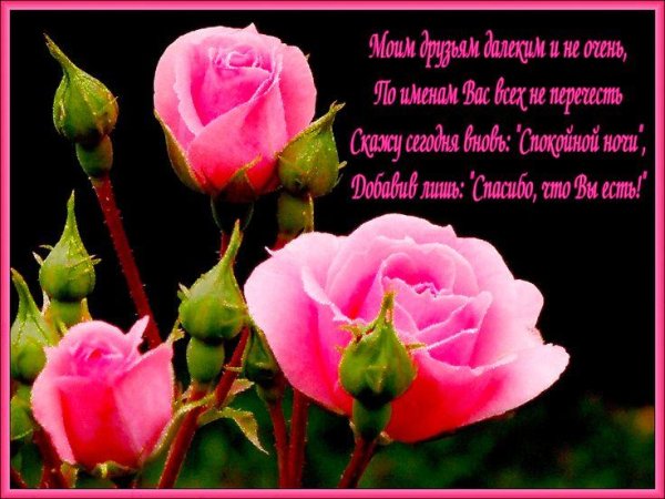 розы для подруги