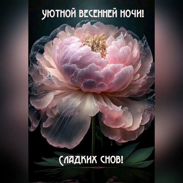 добрая ночь